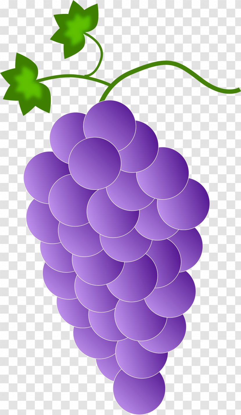 Common Grape Vine Color Clip Art - Table - Purple Grapes Cliparts Transparent PNG
