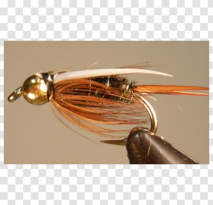 Spoon Lure Insect Spinnerbait Transparent PNG