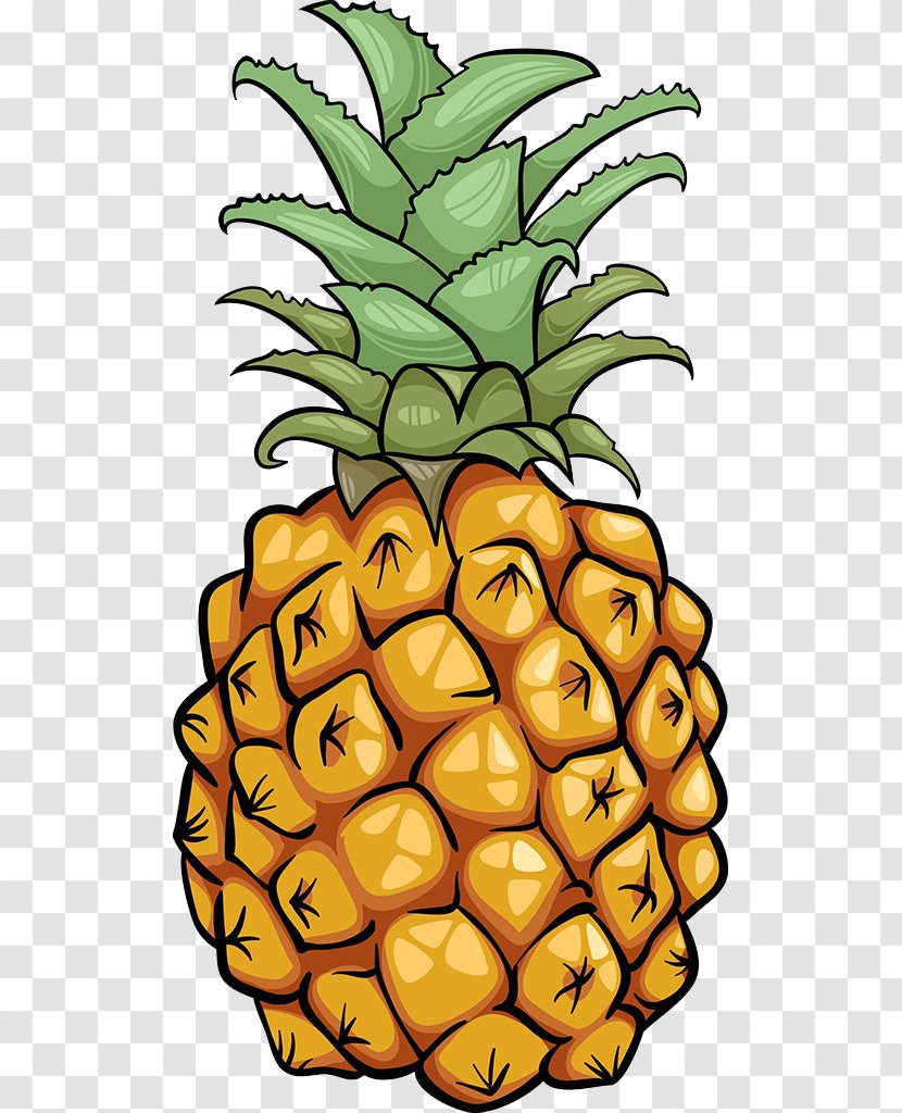 Pineapple Cartoon Royalty-free Illustration - Flowering Plant - Material Transparent PNG