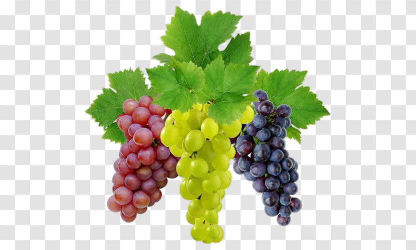 Common Grape Vine Sultana Seedless Fruit - Vitis Transparent PNG