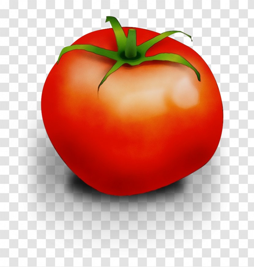 Tomato Cartoon - Paint - Whole Food Vegetarian Transparent PNG