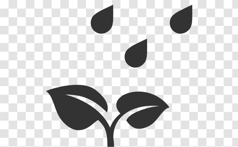 Icon Design Plants Shoeblackplant - Leaf Transparent PNG