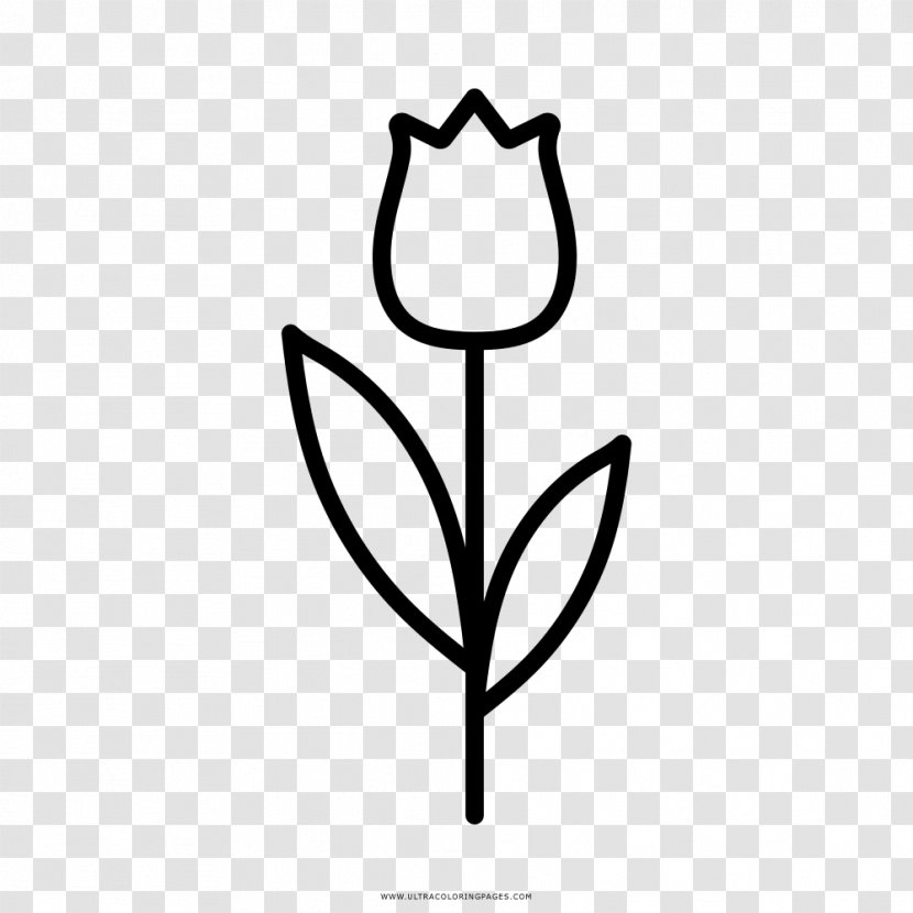 Flower Tulip Coloring Book Drawing Painting - Plant Transparent PNG
