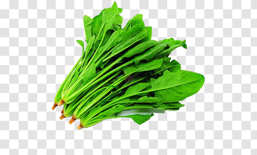 Spinach Vegetable Malatang Food Seed Transparent PNG