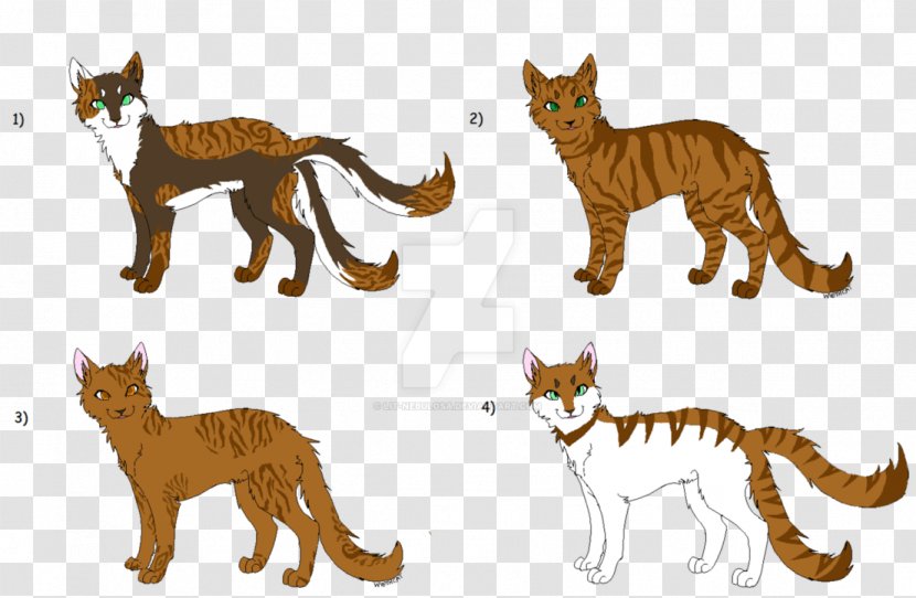 Wildcat Lion Terrestrial Animal Fauna - Cat Like Mammal Transparent PNG