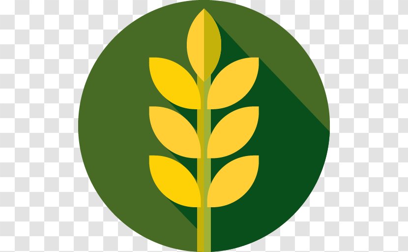 Responsive Web Design Agriculture - Tree - Kisan Transparent PNG