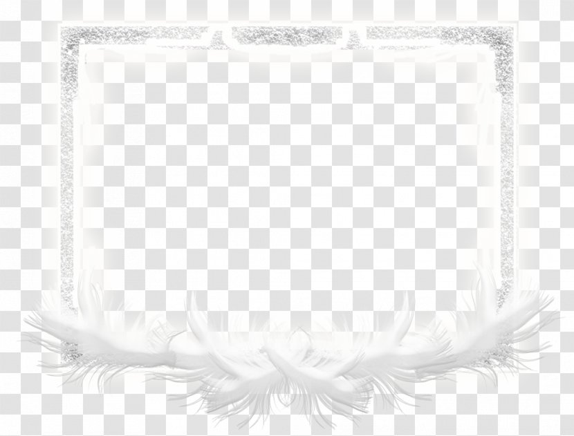 White Feather Picture Frames Rectangle - Tree Transparent PNG