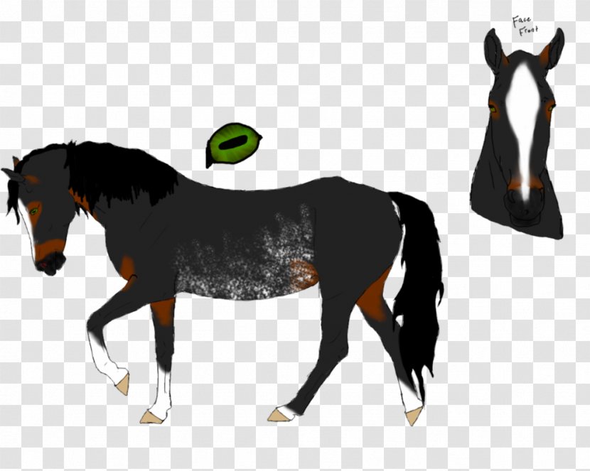 Mane Mustang Stallion Foal Colt - Pack Animal Transparent PNG