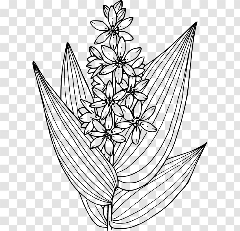 Garden Clip Art - Flower - Helleboreae Transparent PNG