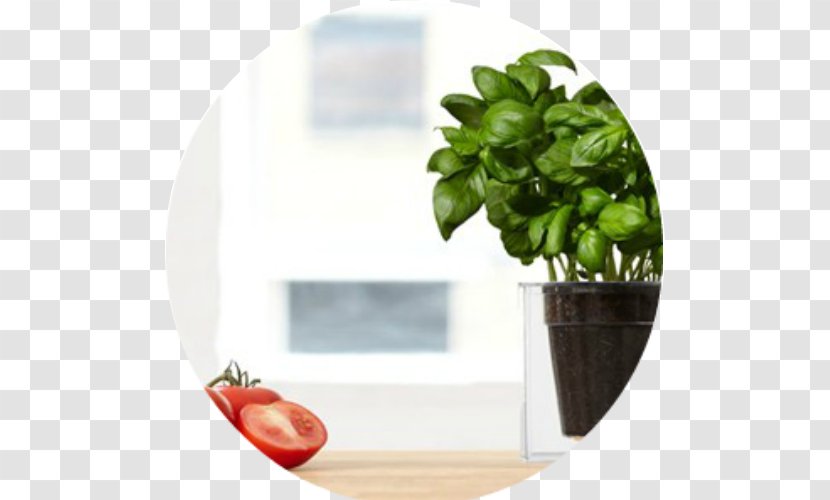 Boskke Cube Sky Planter Recycled Flowerpot Plants Water - Soil - Balcony Gardening In Small Spaces Transparent PNG