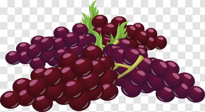 Common Grape Vine Wine Clip Art - Berry Transparent PNG