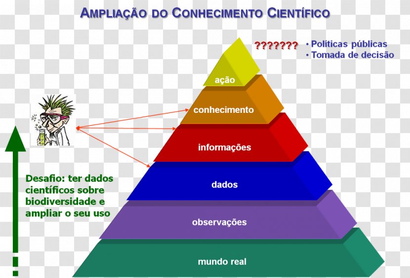 2010 Biodiversity Target Biology Natural Resource Data - Triangle - Desafio Transparent PNG