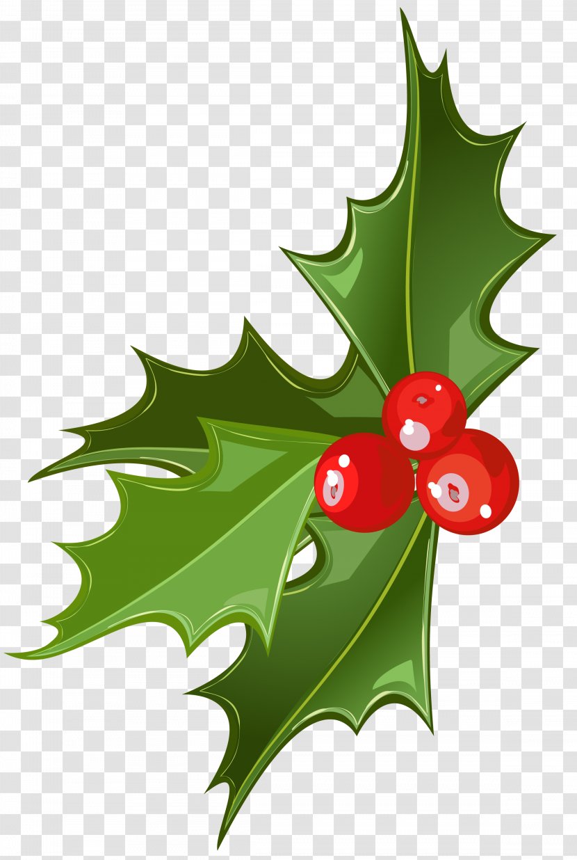 Mistletoe Christmas Viscum Album Clip Art - Leaf - Cliparts Transparent Transparent PNG