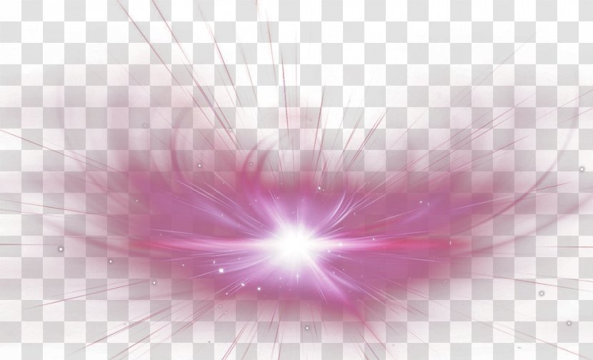Petal Close-up Sky Computer Wallpaper - Purple Fresh Lines Light Effect Elements Transparent PNG