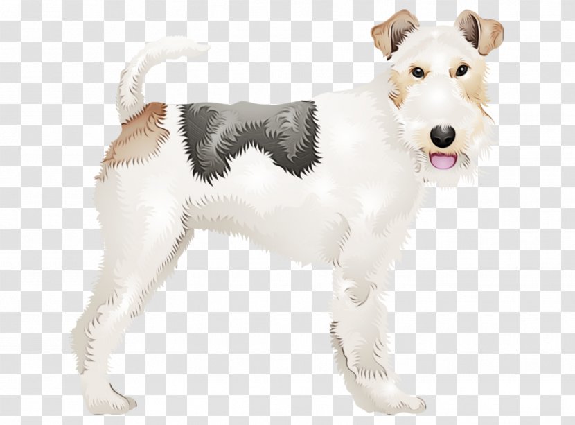 Dog Breed Wire Hair Fox Terrier Companion Transparent PNG