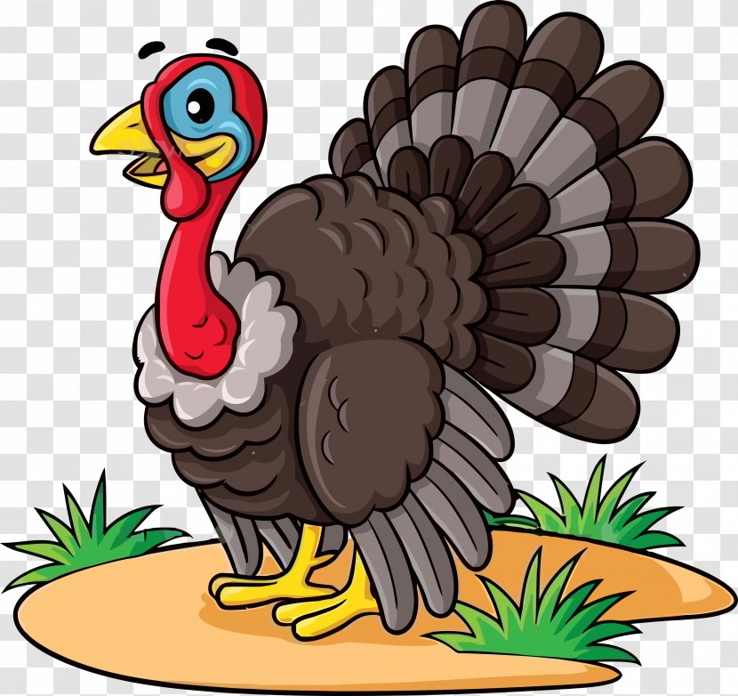 Thanksgiving Turkey - Flightless Bird Transparent PNG