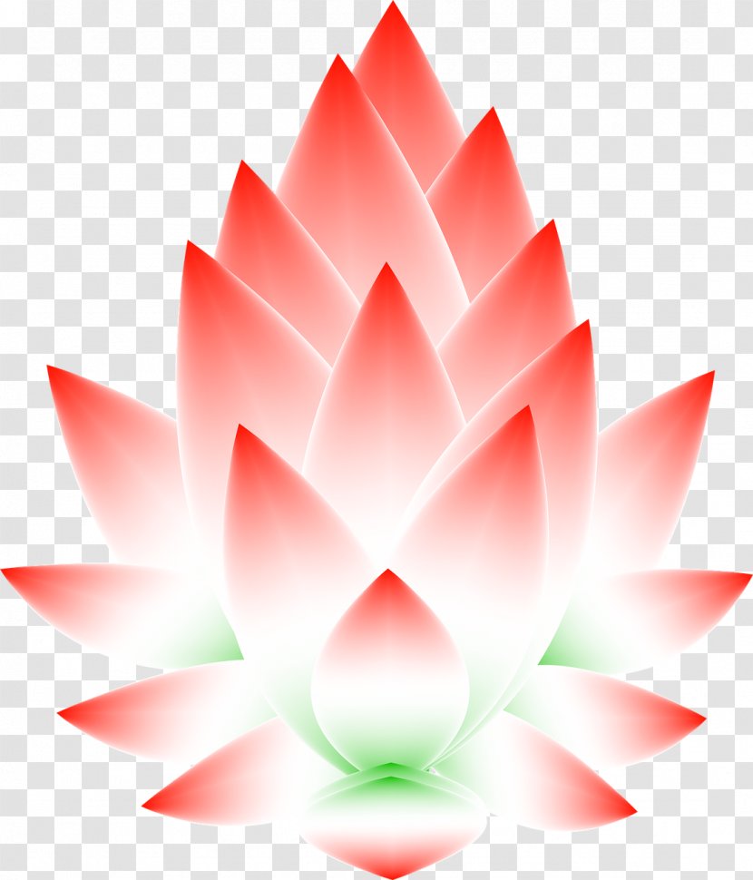 Nelumbo Nucifera Symbol Carta Astral Astrology - Petal - Leaf Lotus Transparent PNG