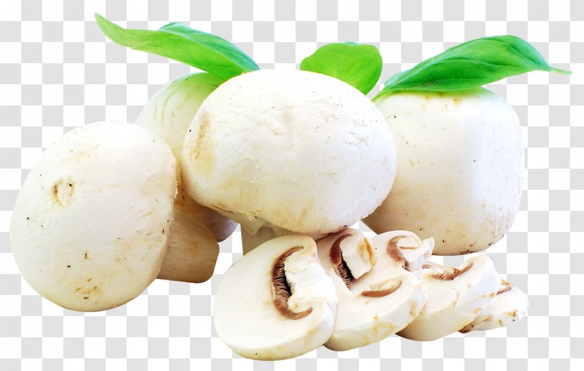 Ingredient Recipe Mushroom Food Vegetable - Fresh Mushrooms Transparent PNG