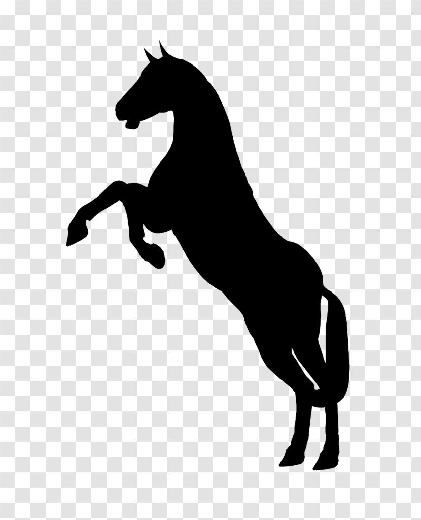 Horse Clip Art Vector Graphics Silhouette Free Content - Mane - How To Draw A Black Transparent PNG