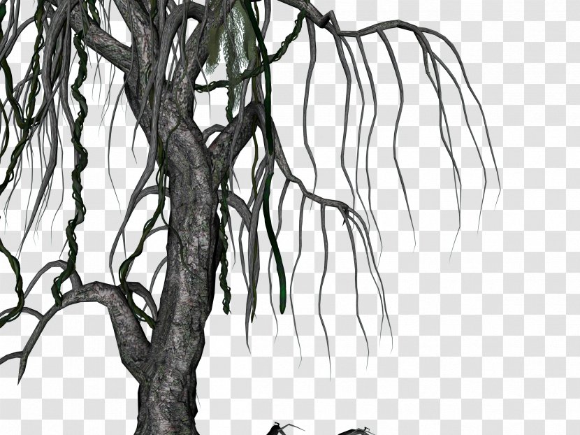 Twig Drawing Root Stock Illustration Tree - Cartoon - Compression Transparent PNG