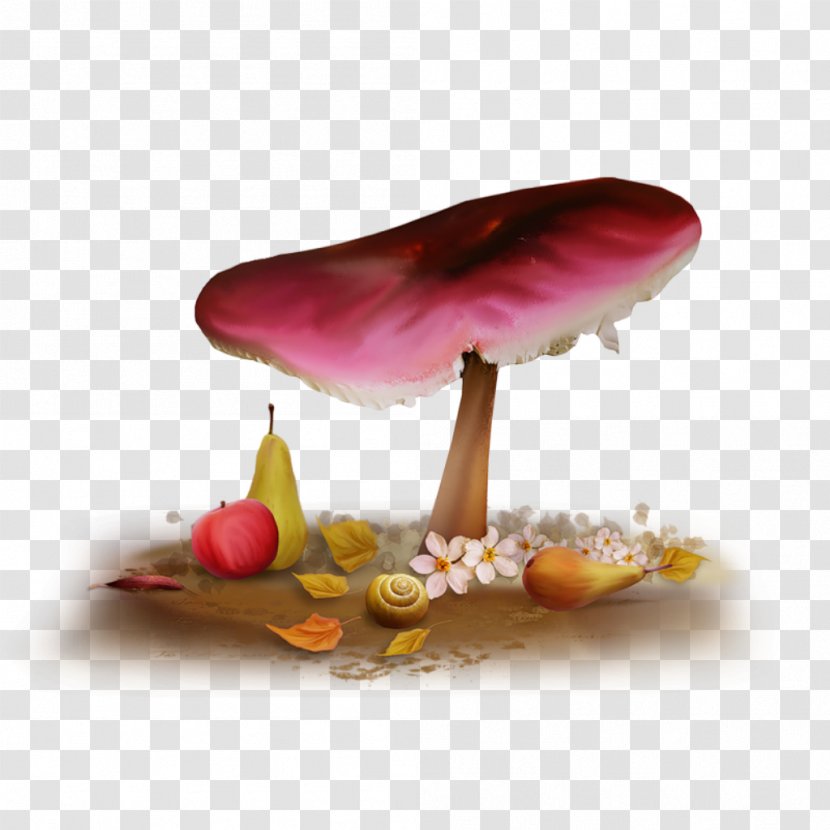 Night Blog Sky Wallpaper - Mirror - Forest Mushroom Transparent PNG