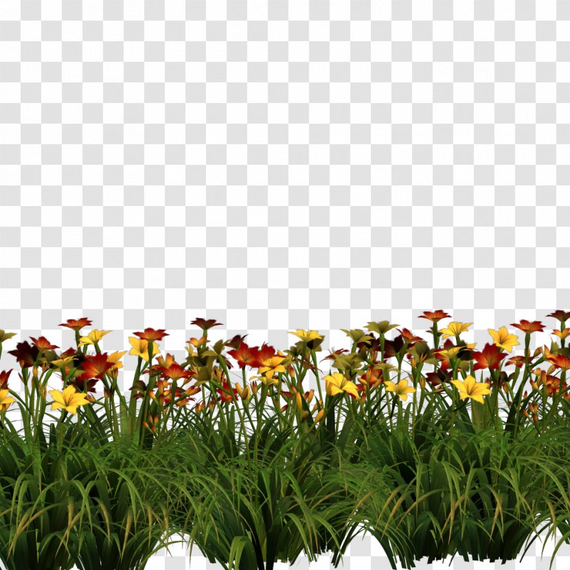 Flower Desktop Wallpaper Clip Art - Grass - Blumen Transparent PNG