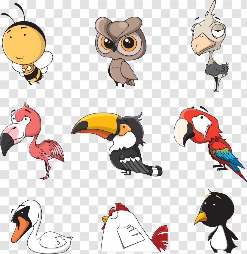 Cartoon Illustration - Bird - Vector Owl Transparent PNG