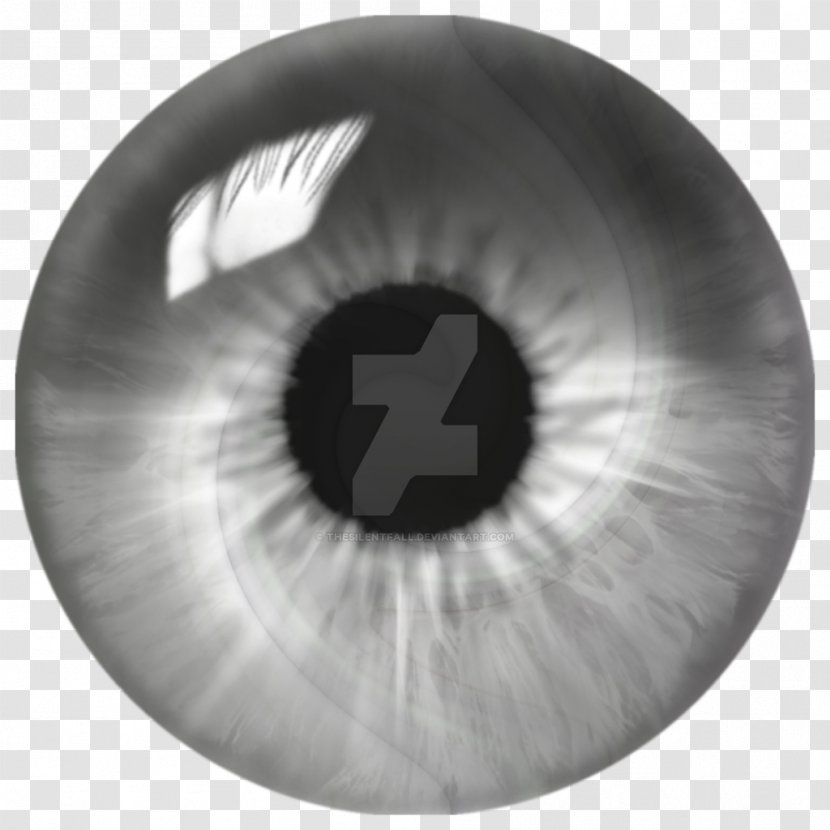 Eye Iris Light Silver Grey - Silhouette - Quill And Ink Transparent PNG