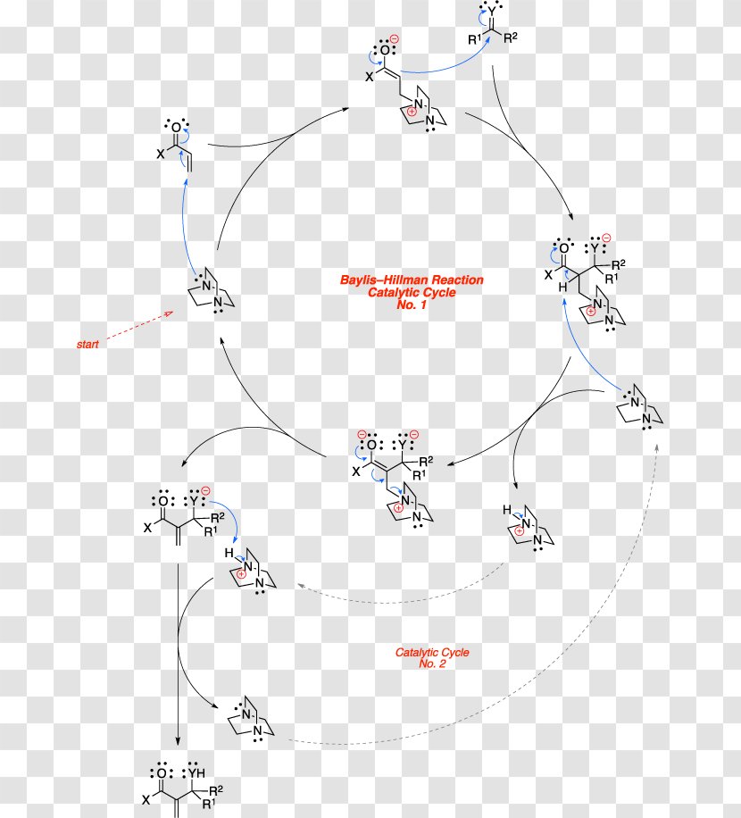 Baylis–Hillman Reaction Pauson–Khand Chemical Name Mechanism - Tree - Frame Transparent PNG