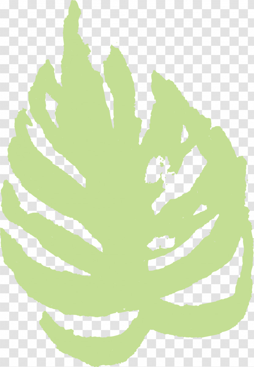 Green Leaf Cabbage Plant Tree Transparent PNG
