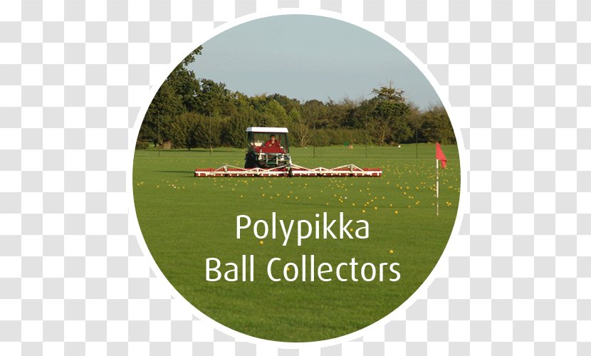 Golf Balls Recreation - Ball Transparent PNG