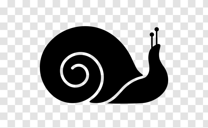 Clip Art - Snails And Slugs - Snail Transparent PNG