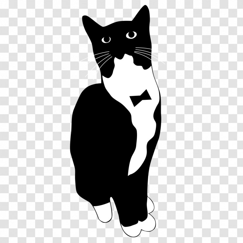 Play, Cat, Play The Game For CATS Clip Art - Vertebrate - Tuxedo Transparent PNG