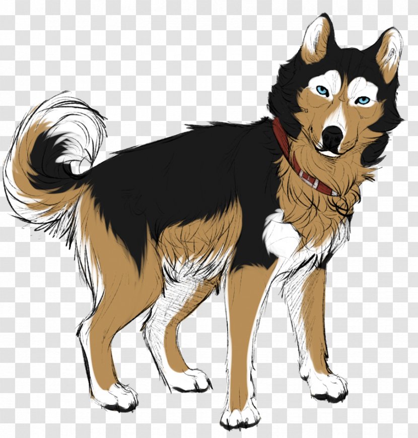 Siberian Husky Dog Breed Drawing Sakhalin Shikoku - Mammal - Akita Mix Transparent PNG