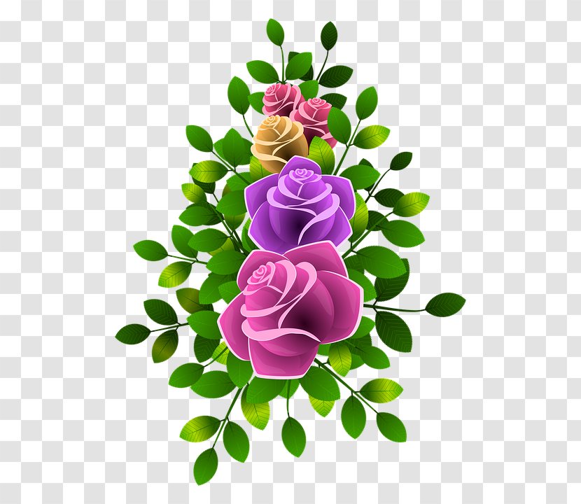 Garden Roses Centifolia Flower Floral Design Petal - Bouquet - Cartoon Decoration Pattern Transparent PNG