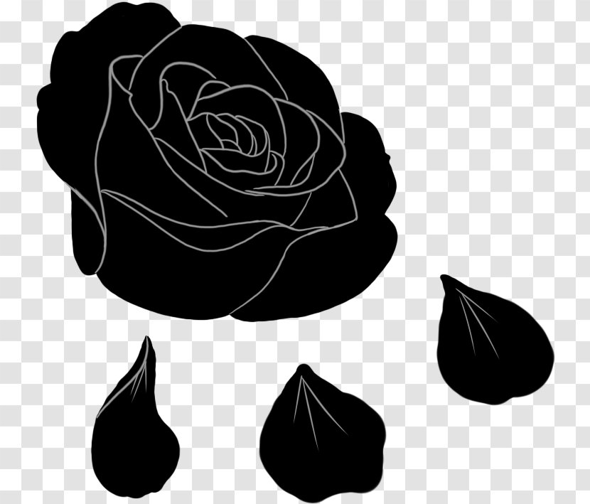 Garden Roses Black Rose Image - Flowering Plant - Transparent Background Clipart Transparent PNG