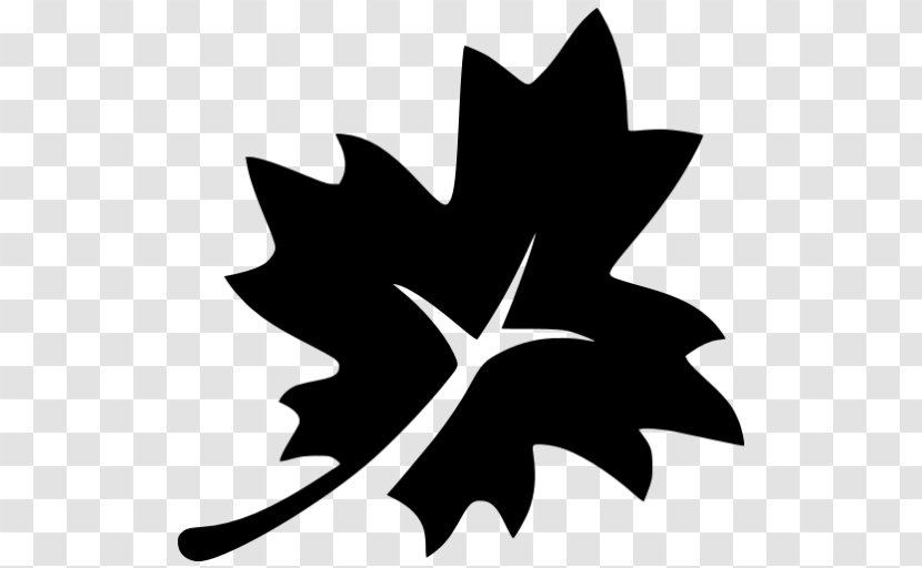 Maple Leaf Autumn Color Tree - Black Transparent PNG