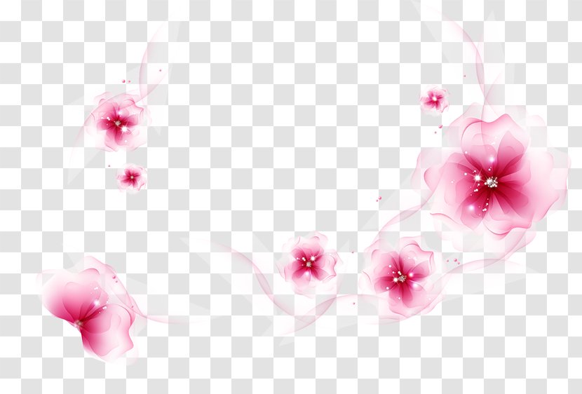 Desktop Wallpaper Flower Rose Floral Design Image - Pink - Transparent Blossom Transparent PNG