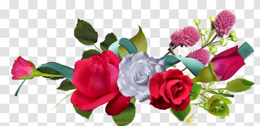 Clip Art Rose Flower Red Transparent PNG