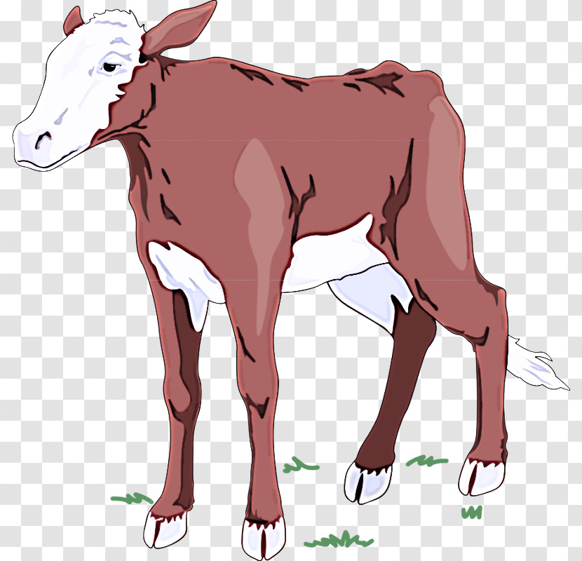 Horse Goat Ox Dairy Cattle Calf Transparent PNG
