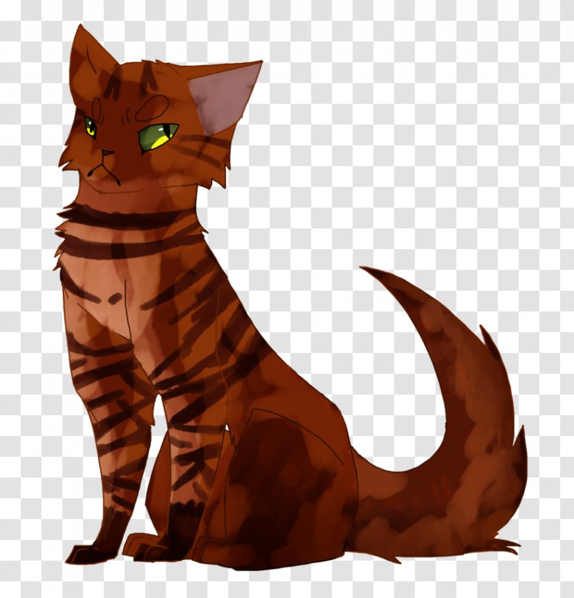 Kitten Whiskers Tabby Cat Warriors Transparent PNG