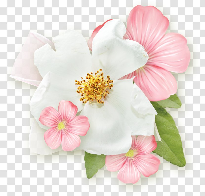 Flower Rose Blossom - Petal Transparent PNG