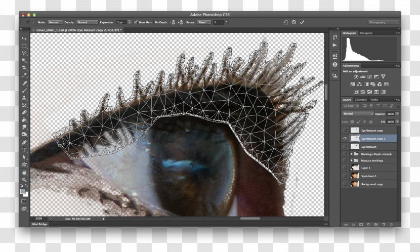 Eyelash - Eye - Photo Studio Transparent PNG
