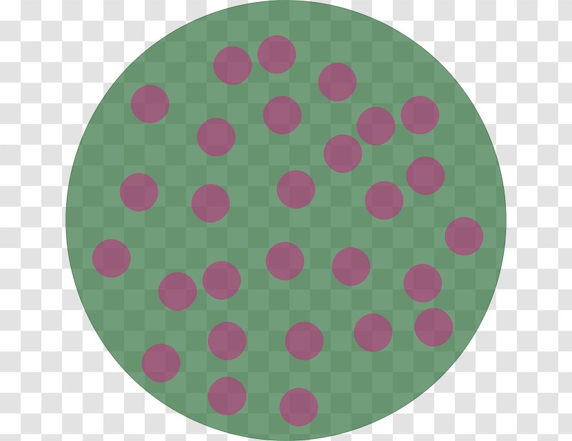 Green Teal Circle Magenta - Hydrangea Transparent PNG