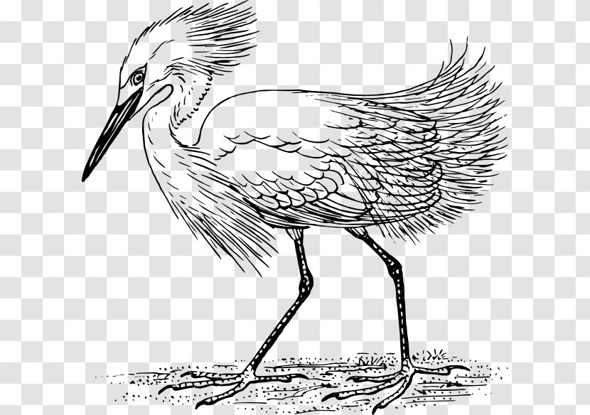 Heron Great Egret Bird Clip Art - Royaltyfree Transparent PNG