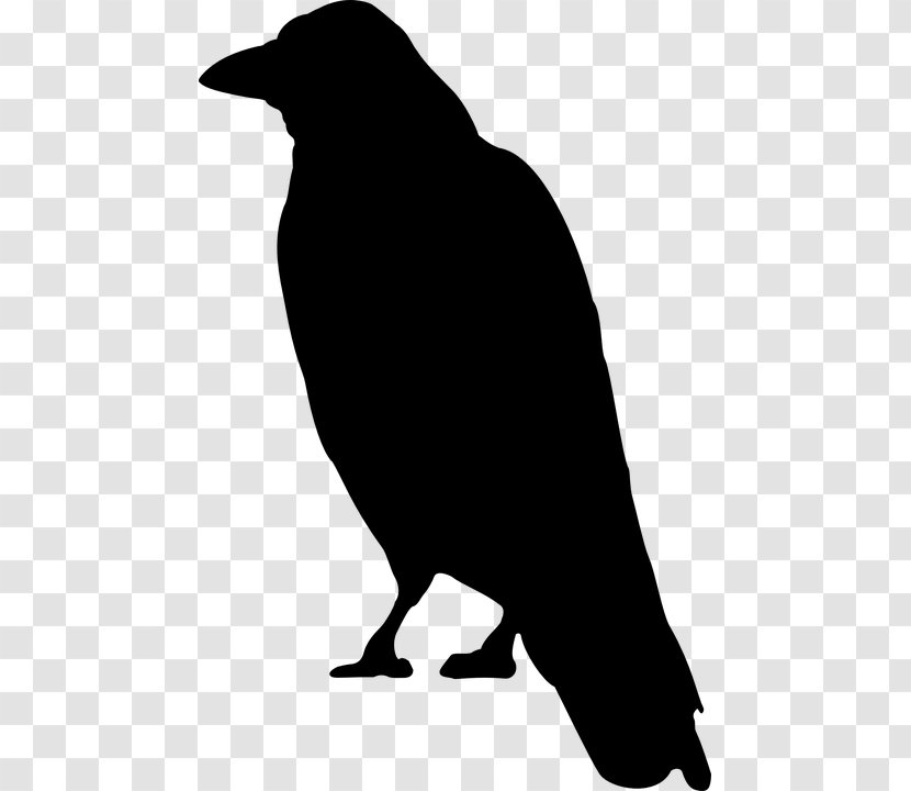 Silhouette Crow Clip Art - Swan Transparent PNG