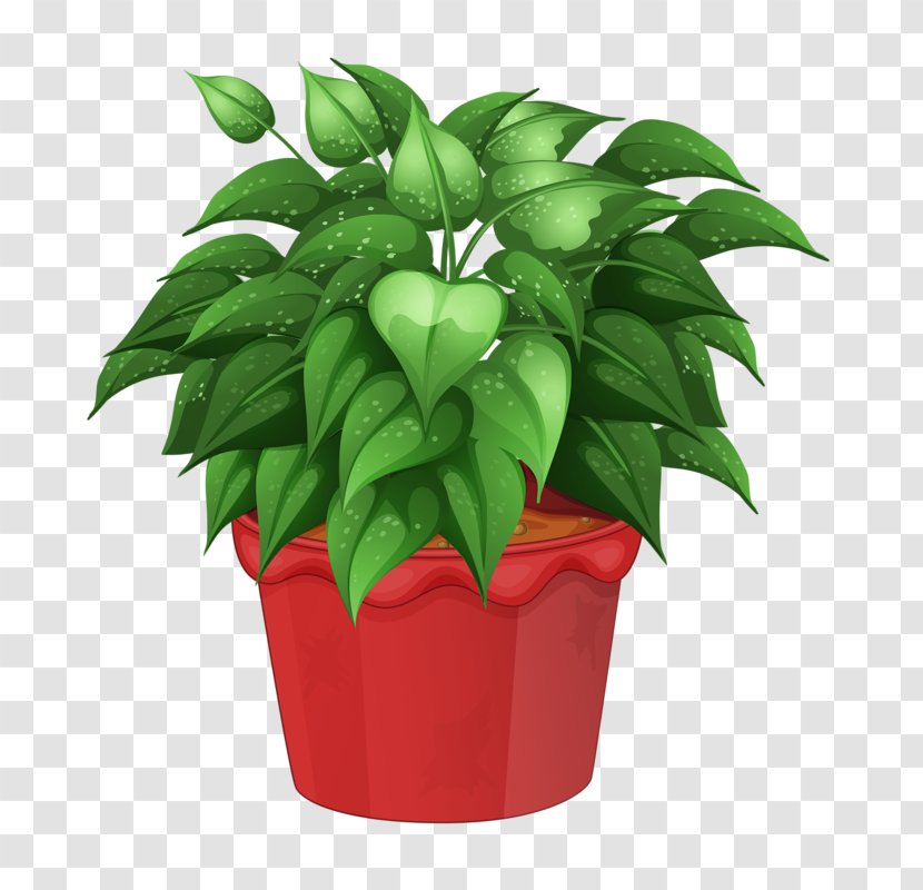 Flowerpot Houseplant Garden Clip Art - Ornamental Plant - Flower Pot Transparent PNG