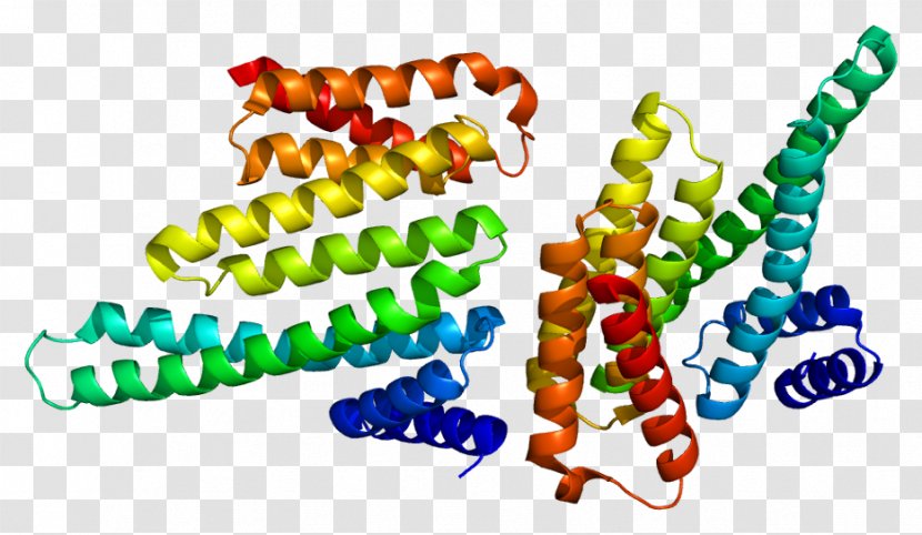 14-3-3 Protein YWHAB Ribosomal S6 Kinase Nucleosome - Silhouette - Flower Transparent PNG