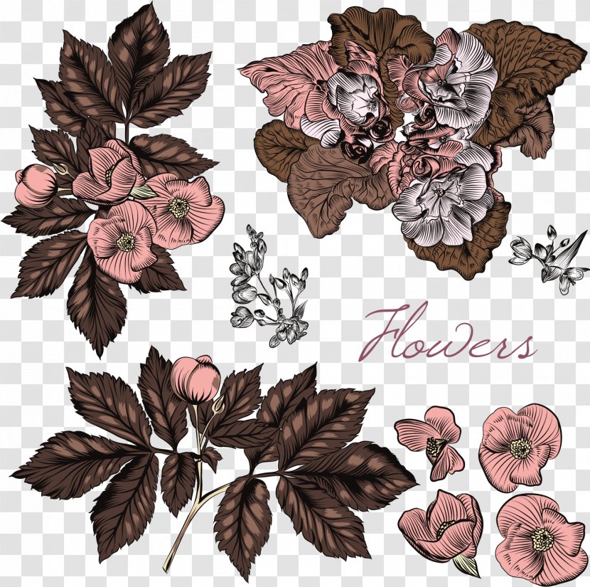 Euclidean Vector Flower Stock Photography - Royaltyfree - Vintage Flowers Transparent PNG