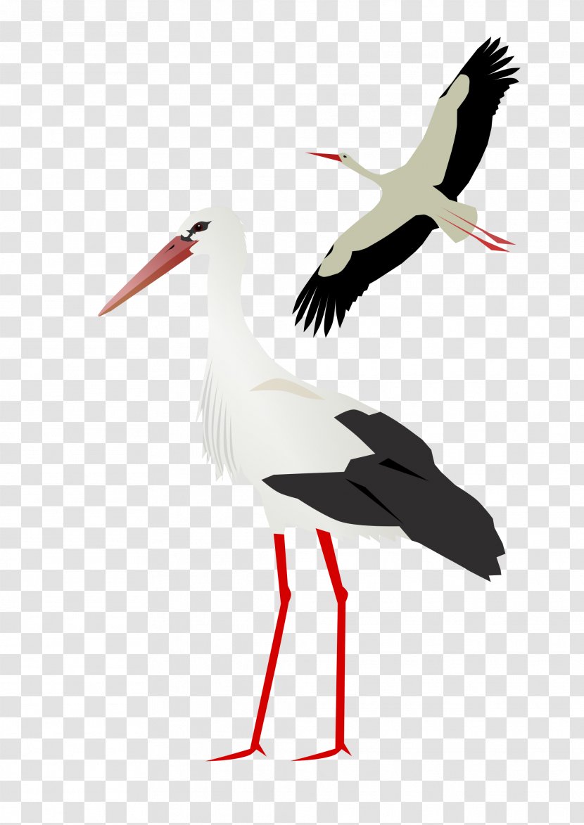 White Stork - Beak Transparent PNG